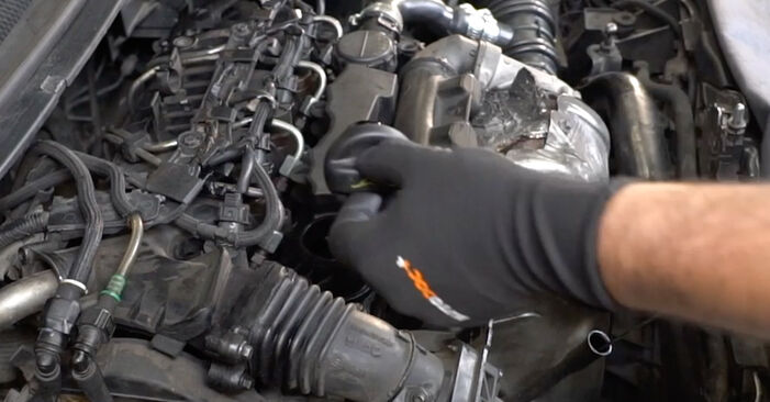 Wie kompliziert ist es, selbst zu reparieren: Ölfilter am Ford Focus mk2 Limousine 1.4 2011 ersetzen – Laden Sie sich illustrierte Wegleitungen herunter