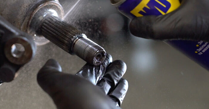 Wie Radlager Ford Fiesta Mk6 1.25 2008 tauschen - Kostenlose PDF- und Videoanleitungen