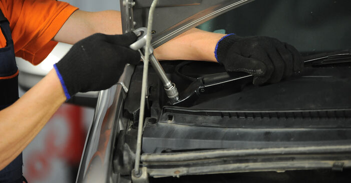 Need to know how to renew Springs on MERCEDES-BENZ VITO 2010? This free workshop manual will help you to do it yourself
