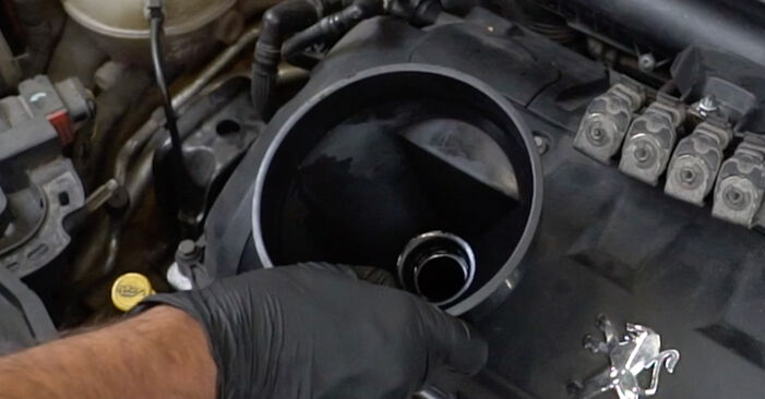Wie lange braucht der Teilewechsel: Ölfilter am Peugeot 207 WA 2014 - Einlässliche PDF-Wegleitung