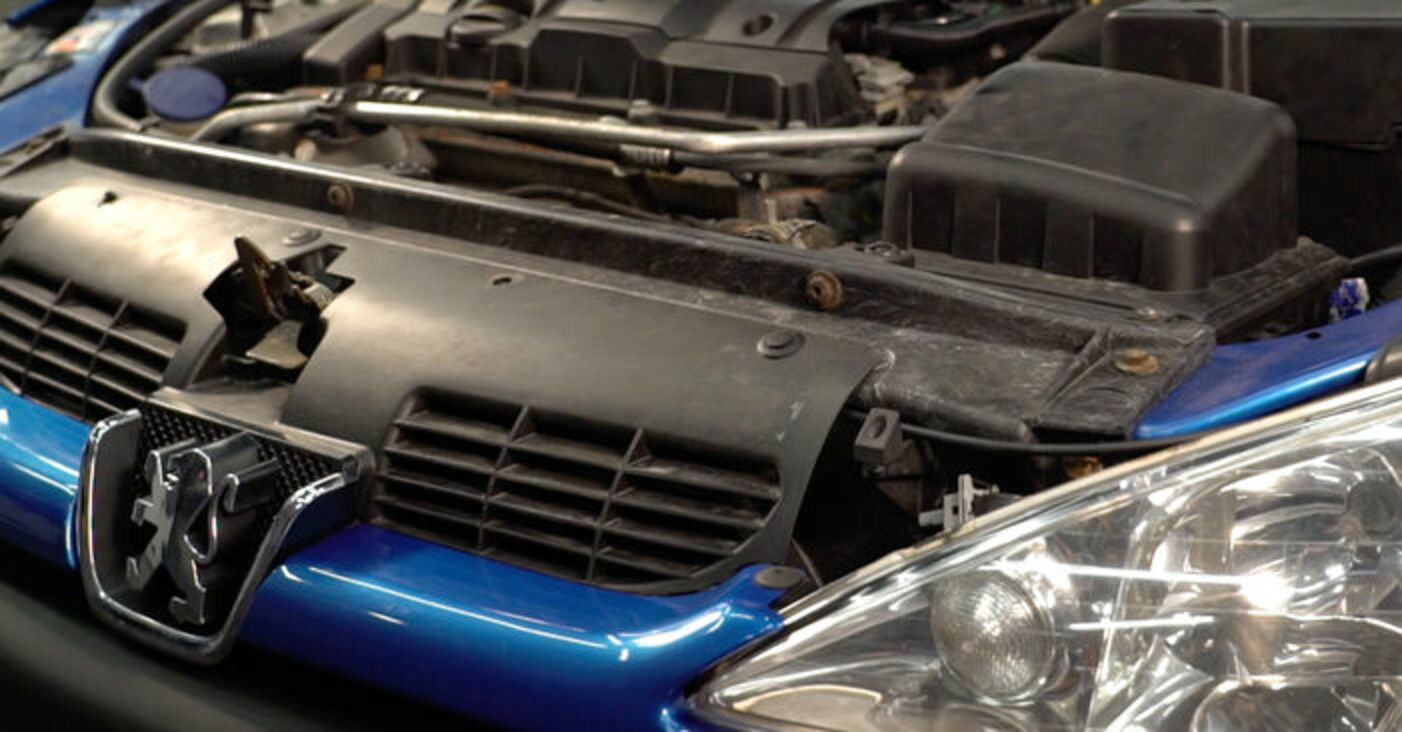 Jak vyměnit motorový olej a olejový filtr na Peugeot 206