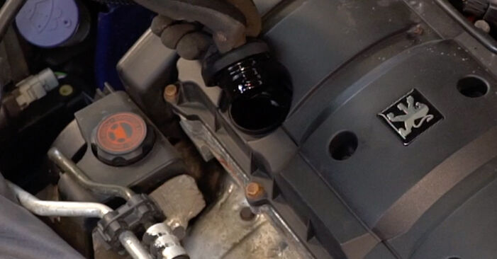 Peugeot 206 cc 2d 2.0 S16 2002 Alyvos filtras keitimas: nemokamos remonto instrukcijos