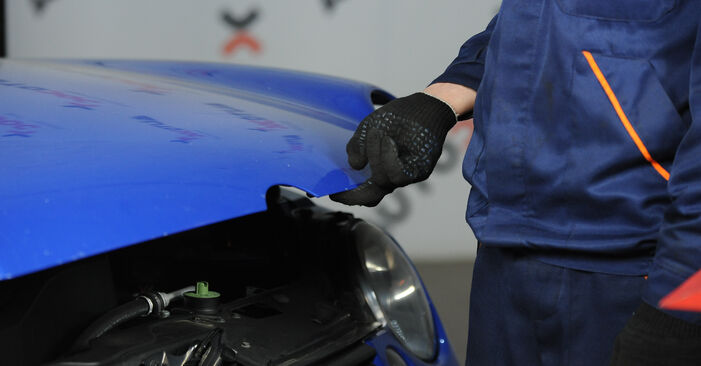 Wie lange braucht der Teilewechsel: Ölfilter am Lupo 3L 1998 - Einlässliche PDF-Wegleitung