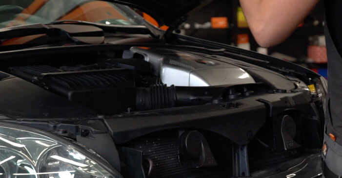 Wie Stoßdämpfer Lexus RX XU30 3.3 400h AWD 2003 tauschen - Kostenlose PDF- und Videoanleitungen