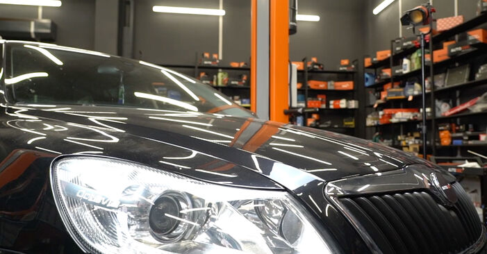 Wie Stoßdämpfer SKODA Octavia II Combi (1Z5) 1.6 TDI 2005 austauschen - Schrittweise Handbücher und Videoanleitungen