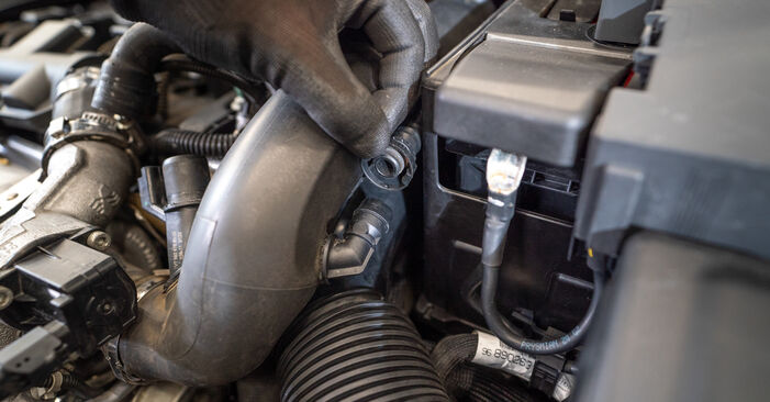 Sostituire Filtro Olio su PEUGEOT 206+ Hatchback (2L_, 2M_) 1.4 i 2013 non è più un problema con il nostro tutorial passo-passo