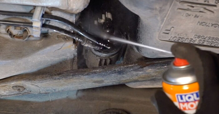 Kraftstofffilter Peugeot 206+ 1.4 i 2011 wechseln: Kostenlose Reparaturhandbücher