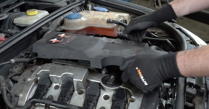 Wie man Keilrippenriemen am Audi A4 8h 2002 ersetzt - Kostenfreie PDF- und Videotipps