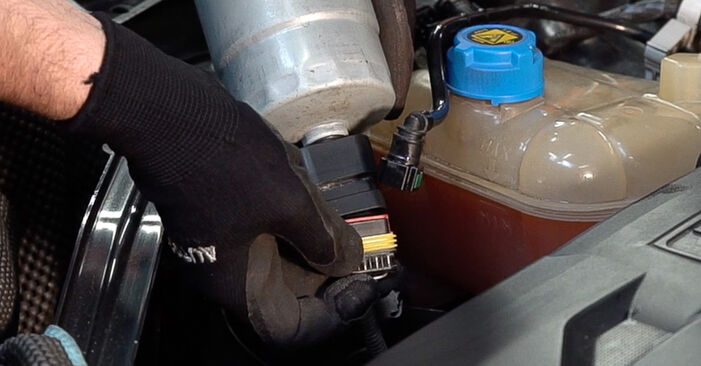 Come sostituire Filtro Carburante su FIAT Doblo Station Wagon (263_) 2014: scarica manuali PDF e istruzioni video