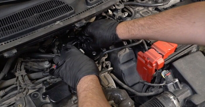 Consigli passo-passo per la sostituzione del fai da te Ford B-Max JK 2013 1.4 LPG Filtro Carburante