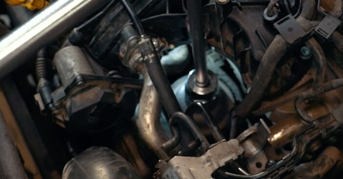 Modifica Filtro Olio su VW Passat Alltrack (365) 1.8 TSI 2012 da solo