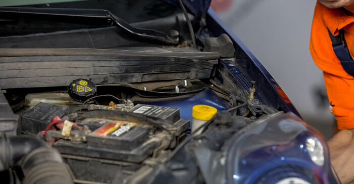 Trinn-for-trinn anbefalinger for hvordan du kan bytte Ford Fiesta Mk5 Van 2008 1.4 TDCi Fjærbenslager selv