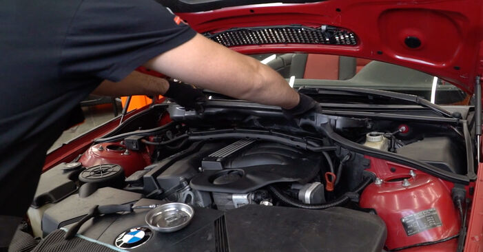 Devi sapere come rinnovare Candela Di Accensione su BMW 3 SERIES 2013? Questo manuale d'officina gratuito ti aiuterà a farlo da solo