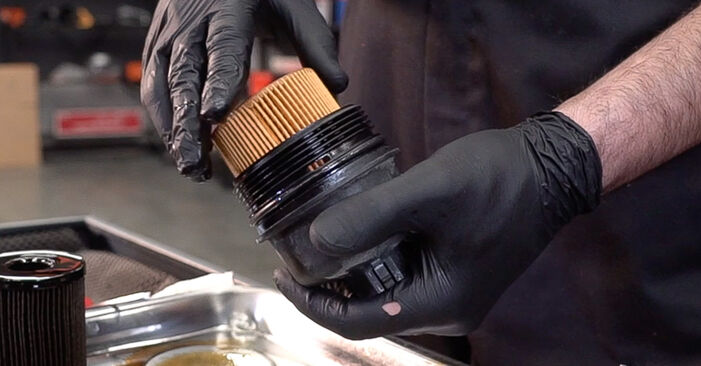 Tausch Tutorial Ölfilter am FIAT 500L (351_, 352_) 2013 wechselt - Tipps und Tricks