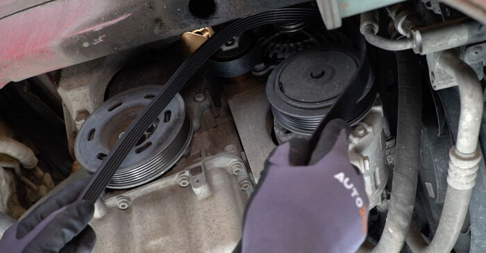 Changing Poly V-Belt on SEAT Toledo III (5P2) 2.0 TDI 2007 by yourself