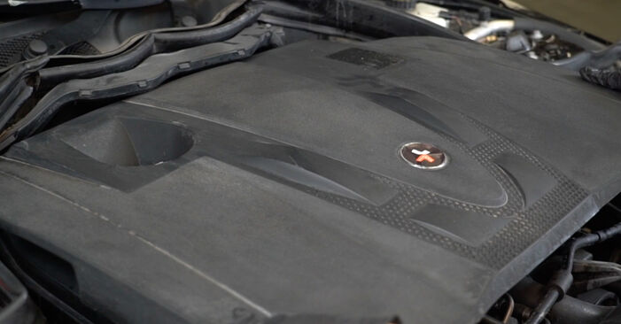 Svépomocná výměna Palivový filtr na autě Mercedes W204 2009 C 220 CDI 2.2 (204.008)
