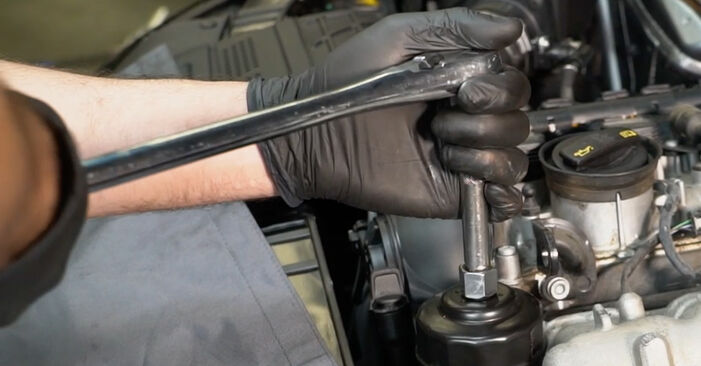 Devi sapere come rinnovare Filtro Olio su AUDI TT 2013? Questo manuale d'officina gratuito ti aiuterà a farlo da solo