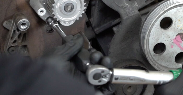 Come cambiare Pompa Acqua + Kit Cinghia Distribuzione su AUDI TT Coupe (8J3) 2009 - suggerimenti e consigli