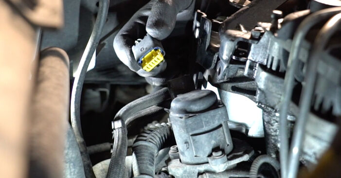 Ford Fiesta Mk5 1.4 16V 2003 AGR Ventil wechseln: Gratis Reparaturanleitungen