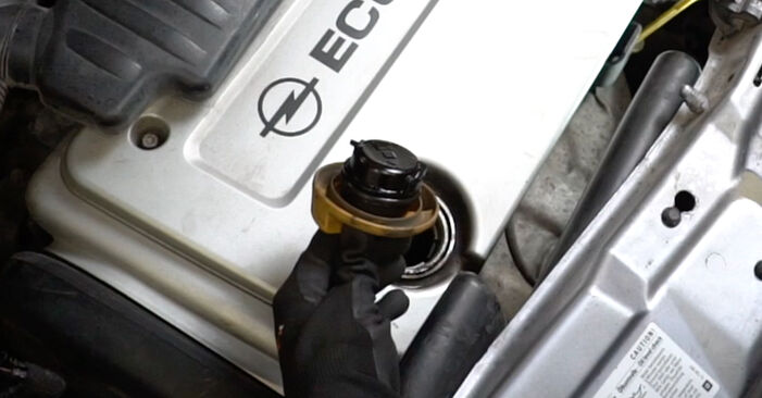 Come cambiare Filtro Olio su Opel Corsa Classic 1994 - manuali PDF e video gratuiti