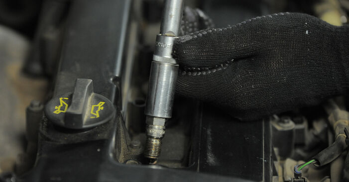 Frankberg Scheibenwaschpumpe - 2-polig Für Ford Fiesta & Viele Modelle