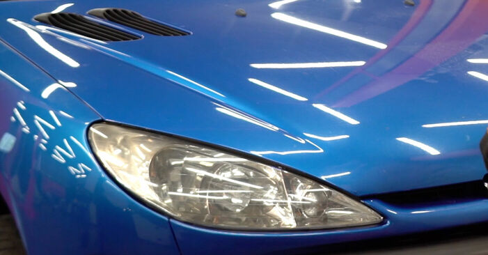 Substituição de PEUGEOT 206 1.6 16V Correia Trapezoidal Estriada: guias online e tutoriais em vídeo