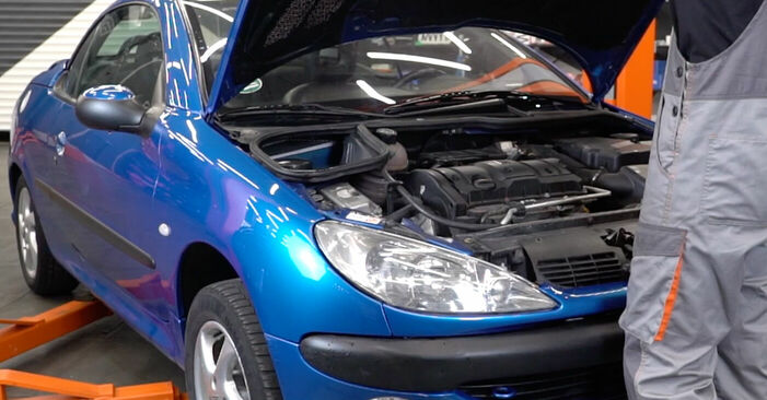 Como trocar Filtro de Ar no Peugeot 206 cc 2d 1998 - manuais gratuitos em PDF e vídeo