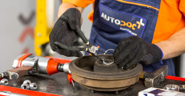 Fiesta Mk5 Hatchback (JH1, JD1, JH3, JD3) ST150 2.0 2002 Rolamento da Roda manual de substituição de oficina por si mesmo