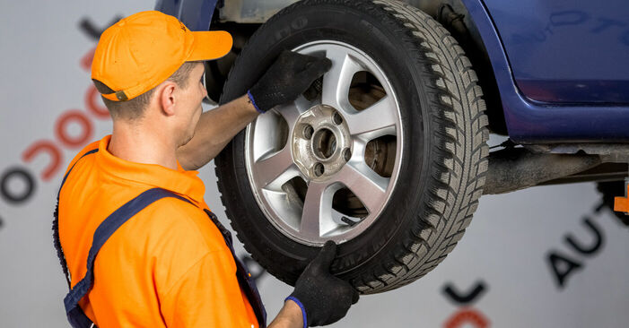 Trocar Rolamento da Roda no FORD Fiesta Mk5 Hatchback (JH1, JD1, JH3, JD3) 1.25 16V 2004 por conta própria