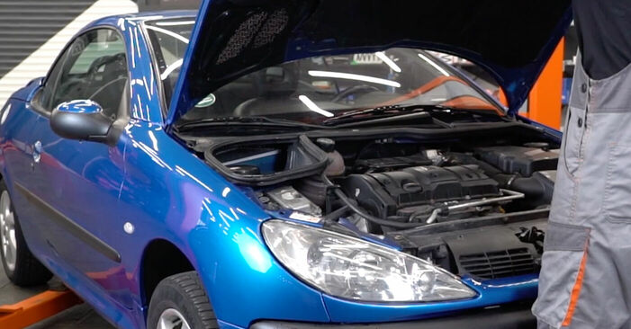 Como trocar Filtro do Habitáculo no Peugeot 206 cc 2d 1998 - manuais gratuitos em PDF e vídeo