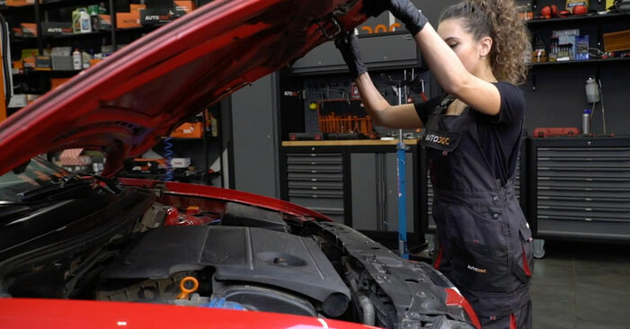 Como trocar Bobina de Ignição no Seat Ibiza 6l1 2002 - manuais gratuitos em PDF e vídeo