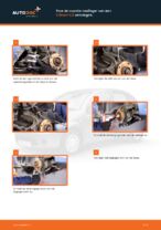Aanbevelingen van de automonteur voor het vervangen van CITROËN CITROËN C3 I (FC_) 1.4 i Remschijven