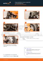 CITROËN C15 (VD-_) Barra Stabilizzatrice sostituzione: tutorial PDF passo-passo
