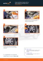 Seat Toledo 1m Candeletta sostituzione: tutorial PDF passo-passo