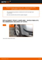 Auto mechanic's recommendations on replacing SKODA Skoda Fabia 6y5 1.9 TDI Brake Discs