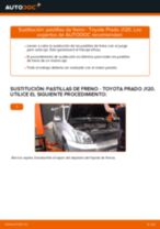 Recomendaciones de mecánicos de automóviles para reemplazar Filtro de Combustible en un TOYOTA Toyota Land Cruiser Prado 120 4.0