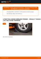 Mekanikerens anbefalinger om bytte av RENAULT Renault Laguna 3 2.0 dCi Drivstoffilter