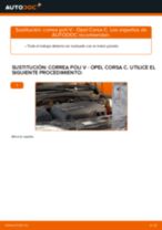 Instrucciones gratuitas en línea sobre cómo renovar Correa de servicio OPEL CORSA C (F08, F68)