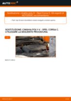 Le raccomandazioni dei meccanici delle auto sulla sostituzione di Filtro Olio OPEL Opel Corsa C 1.0 (F08, F68)