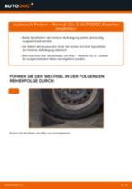 BMW Z3 Stoßdämpfer vorderachse und hinterachse tauschen: Handbuch pdf