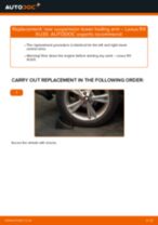 Auto mechanic's recommendations on replacing LEXUS Lexus RX XU30 3.0 Pollen Filter
