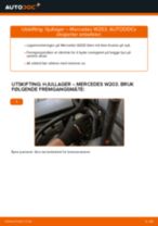 Bytt Bremsecaliper brakett i MERCEDES-BENZ VIANO – tips og triks