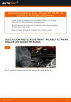 Recomendaciones de mecánicos de automóviles para reemplazar Sonda Lambda en un PEUGEOT PEUGEOT 107 1.4 HDi