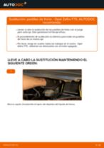 Recomendaciones de mecánicos de automóviles para reemplazar Pastillas De Freno en un OPEL Opel Zafira B 1.8 (M75)