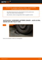 Installation von Bremssattel Reparatur Set AUDI A3 Sportback (8PA) - Schritt für Schritt Handbuch