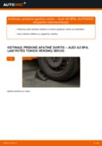 Automechanikų rekomendacijos AUDI Audi A3 8l1 1.8 T Spyruoklės keitimui