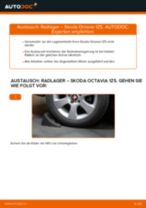 Wechseln von Radlagersatz Instruktion PDF für SKODA OCTAVIA