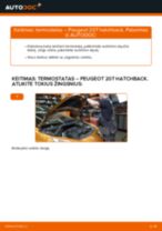 Automechanikų rekomendacijos PEUGEOT PEUGEOT 207 (WA_, WC_) 1.6 HDi Oro filtras keitimui