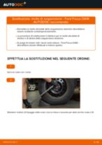 Cambio Porta pinza freno anteriore e posteriore FORD da soli - manuale online pdf