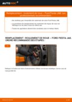 Le guide professionnel de remplacement pour Courroie Trapézoïdale à Nervures sur votre Ford Fiesta 6 1.4 LPG